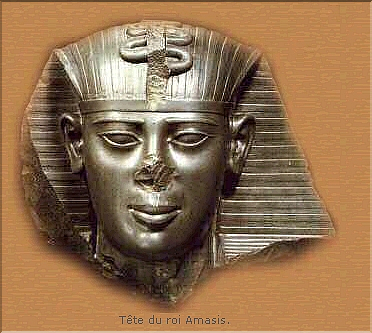 amasis.jpg